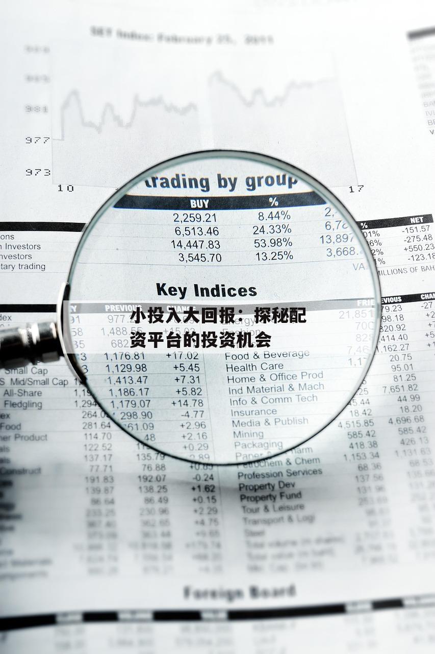 小投入大回报：探秘配资平台的投资机会-第1张图片-泓川证券